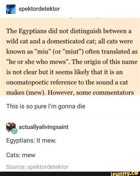 meow miu|TIL That Ancient Egyptians didnt name their cats individually